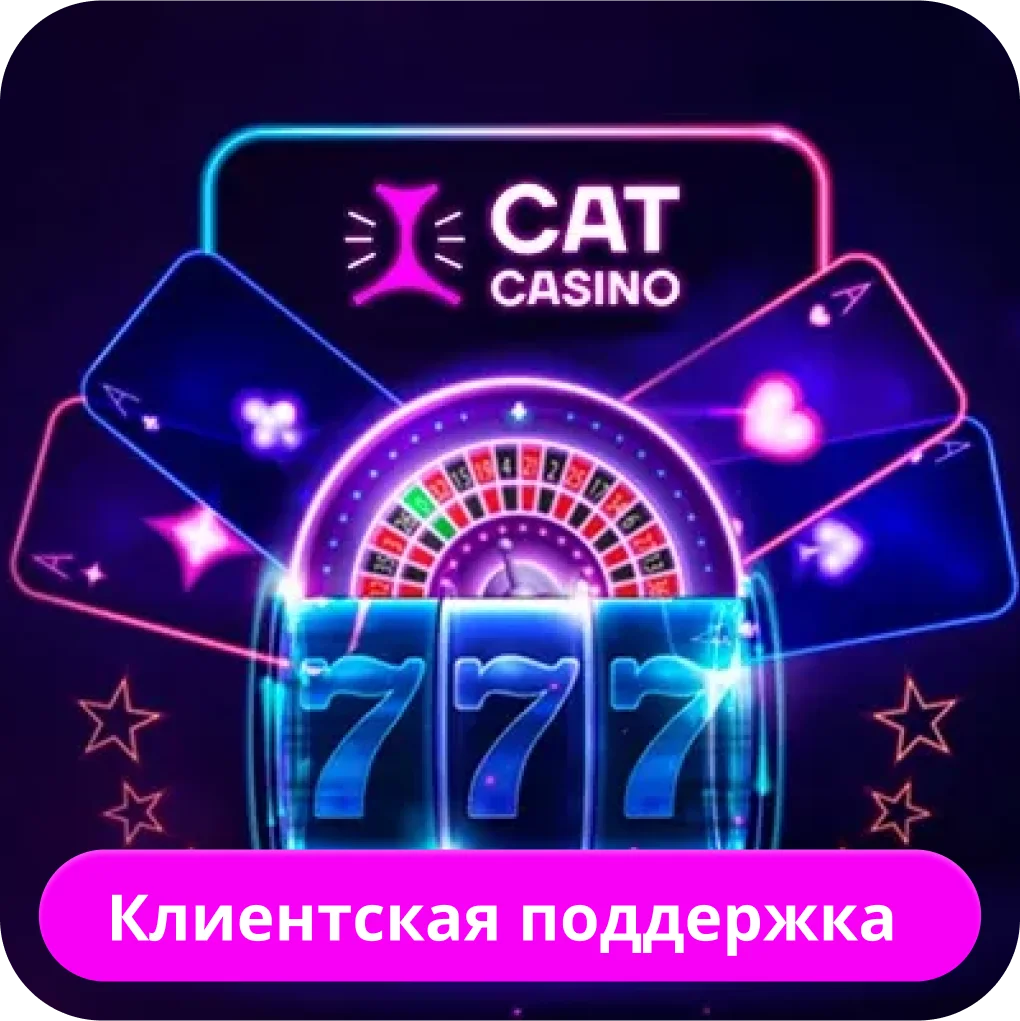 Cat casino поддержка
